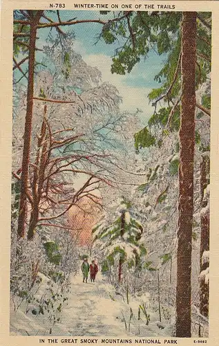 The Great Smoky Mountains Nat.Park in Winter ngl E8759