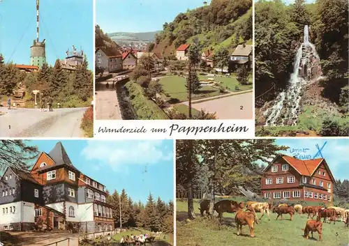 Pappenheim im Thüringer Wald - Wanderziele gl19? 167.788