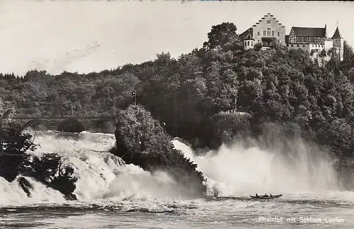 Rheinfall mit Schloß Laufen ngl F0152