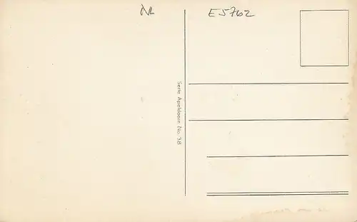 Apeldoorn, Berg en Bos, Tunnel ngl E5762