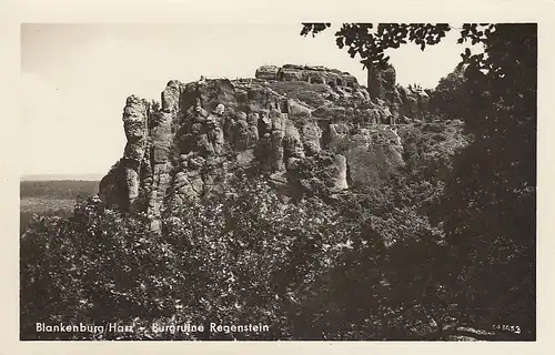 Blankenburg, Harz, Burgruine Regenstein ngl E6092