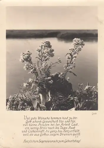 Geburtstag-Wünsche mit Gedicht ngl E5343
