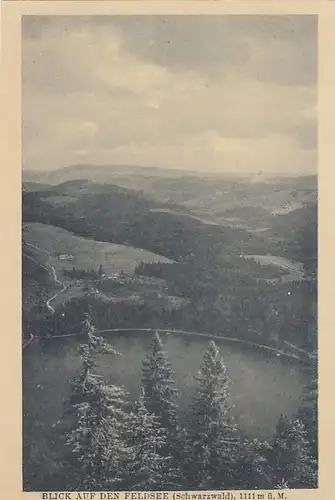 Schwarzwald, Blick auf den Feldberg ngl E6599