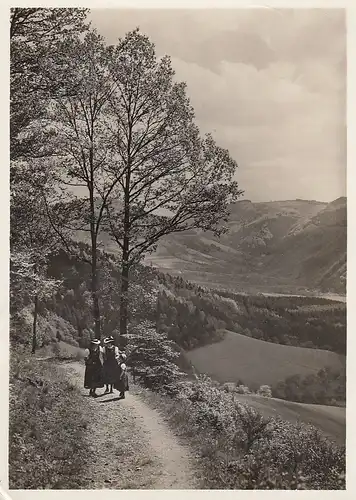 Die Berglandschaft des oberen Glottertales, Schwarzwald gl1937 E6097