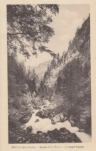 Servoz (Hte. Savoie) Gorges de la Diozaz, Le Grand Couloir ngl F0565