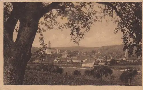 Gundelsheim am Neckar, Blick über den Neckar gl1923 E6813