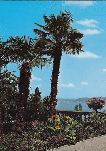 Insel Mainau im Bodensee, Palmengruppe ngl E7860