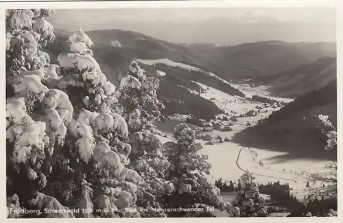 Feldberg i. Schwarzwald, Blick ins Menzenschwander Tal glum 1935? E6736