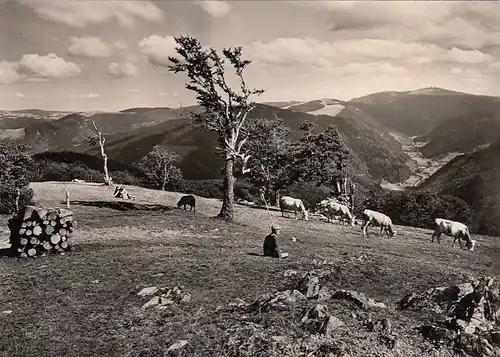 Schwarzwald, Schauinsland bei Freiburg i.Breisgau, gl1959 E6810