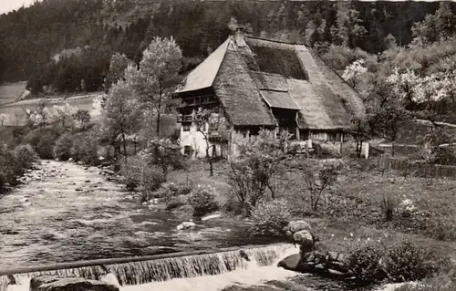 Schwarzwaldhaus im Kinzigtal ngl E6598