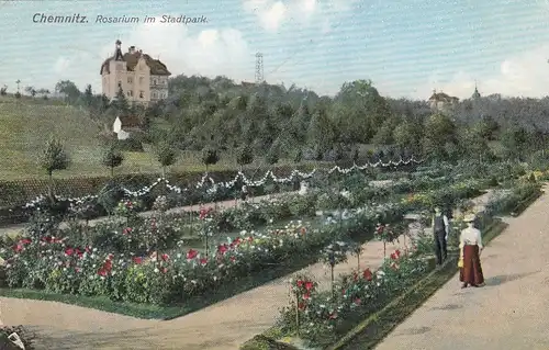 Chemnitz, Rosaium im Stadtpark gl1908 E8028