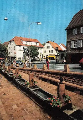 Beerfelden i.Odenwald, Mümlingquelle ngl F0809