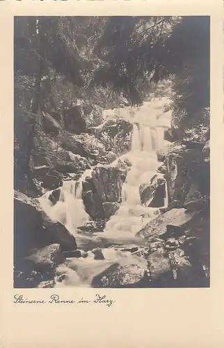 Steinerne Renne im Harz ngl E5259