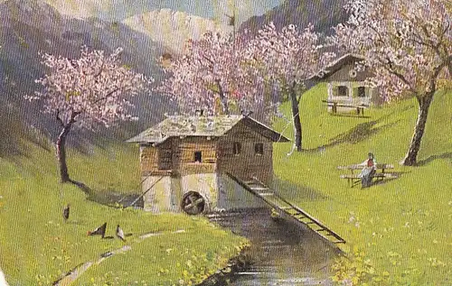 Baumblüte in den Bergen feldpgl1916 E8246