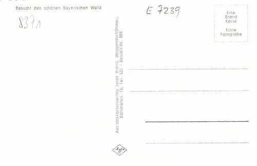 Bayerisch Eisenstein - Panorama mit Landesgrenze ngl E7239