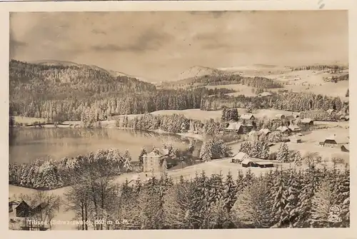 Titisee, Schwarzwald, Winter-Panorama gl1937? E6819