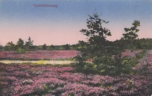 Lüneburger Heide, Heidestimmung ngl E5431