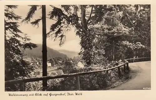 Waldsaumweg mit Blick auf Georgenthal, Thür.Wald gl1960 E7329