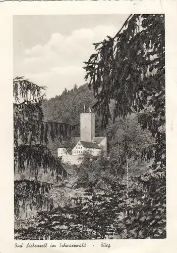 Bad Liebenzell, Schwarzwald, Burg gl1957 E6751