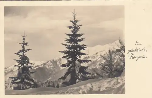 Neujahr-Grüße mit Winterwald in den Bergen gl1937 E7440