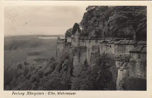 Sächs.Schweiz, Festung Königstein/Elbe, Wehrmauer gl1959 E7357