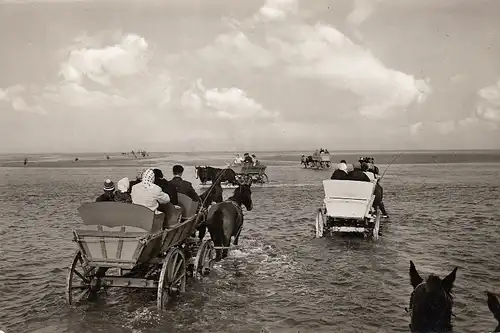 Nordseeheilbad Sahlenburg, Wattwagen im Priel nach Neuwerk gl1966 E5446