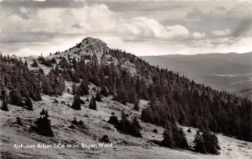 Auf dem Arber im Bayerischen Wald gl1972 167.146