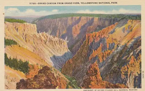 Yellowstone Nat.Park, Grand Canyon from Grand View ngl E8687