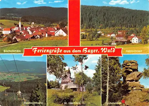 Bayerischer Wald Mehrbildkarte gl19? 167.294