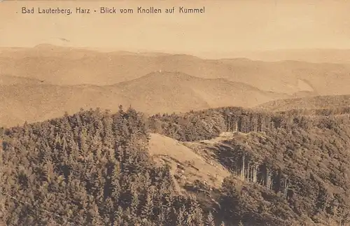 Bad Lauterberg im Harz, Blick vom Knollen auf Kummel gl1924 E7124