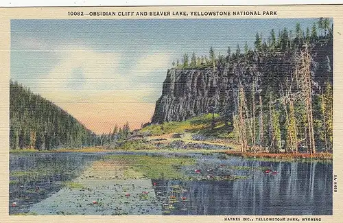 Yellowstone Nat.Park, Obsidian Cliff and Beaver Lake ngl E8746