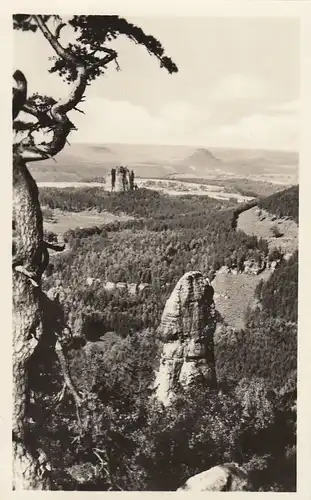 Sächs.Schweiz, Blick vom Carolafelsen zum Falkenstein gl1956? E7740