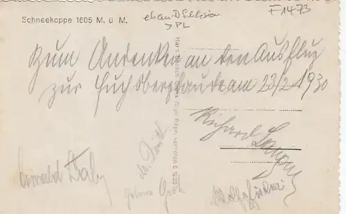Schneekoppe ngl F1473