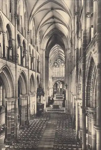 Dol-de-Bretagne (Ille-et-Vilaine) La Cathédrale ngl E7824