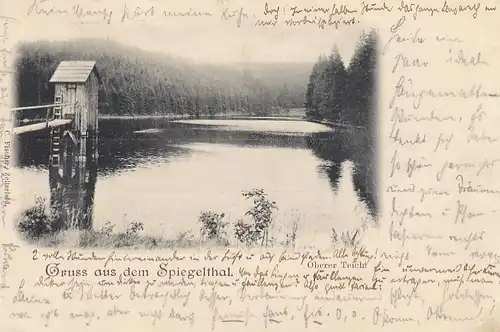 Gruß aus dem Spiegelthal nahe Wildemann gl1901 E7386