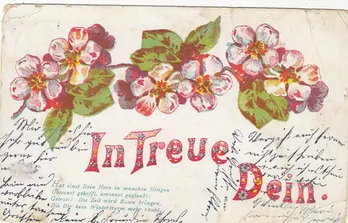 In Treue Dein! gl1909 E7397