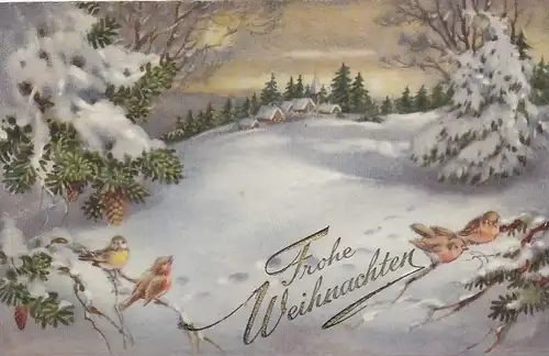 Weihnachten-Wünsche, Vögel im Winterwald gl1933 E7436