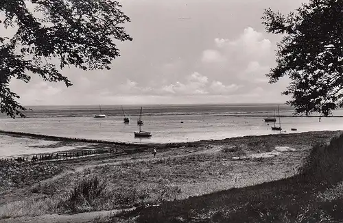 Keitum auf Sylt, Blick zum Kliff auf's Wattenmeer ngl F0532R