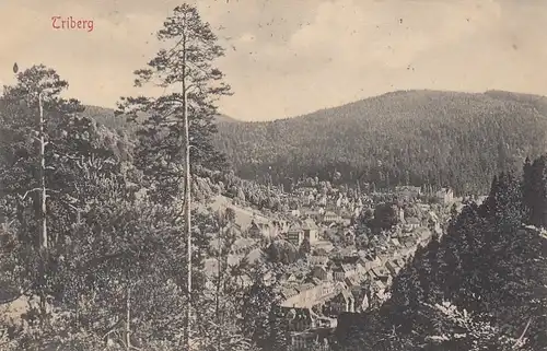 Triberg, Schwarzwald, Panorama gl1914 E7920