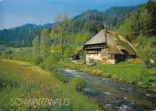 Schwarzwald, Altes Bauernhaus in Niederwasser ngl F0679