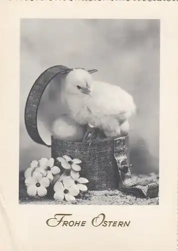 Ostern-Wünsche mit Küken ngl E7510