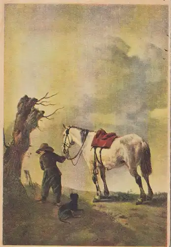 WOUWERMAN Het witte Paard ngl E9254