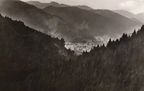 Schiltach im Schwarzwald, vom Brandsteinweg aus gl1955 F1887