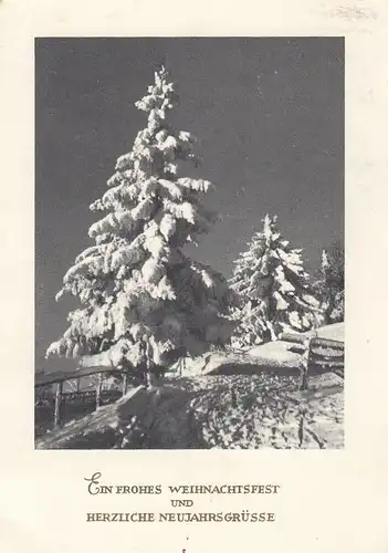 Weihnacht-und Neujahr-Wünsche mit Schneetannen gl1959 E8222