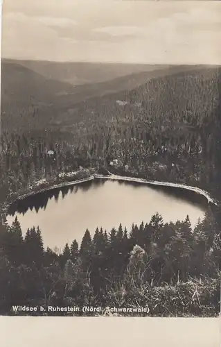 Wildsee bei Ruhestein , Schwarzwald gl1929 E7738