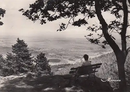 Mont-Sainte-Odile (Alsace) Du Mur Paien vue sur la Plaine d'Alsace ngl F0890