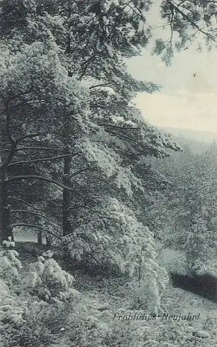 Neujahr-Wünsche mit Winterwald gl1907 E5629