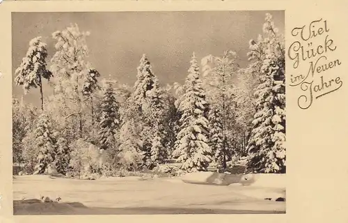 Neujahr-Grüße mit Winterwald gl1938 E6216