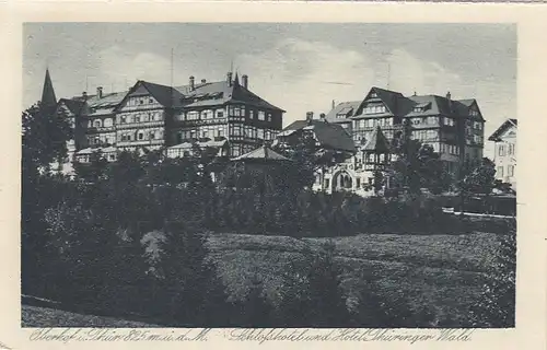 Oberhof (Thür. Wald) Schloßhotel und Hotel Thüringer Wald ngl E6244