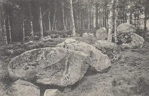 Große Steine, KLeinenkneten bei Wildeshausen ngl F1078